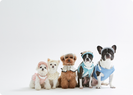 Pet Toy Barn