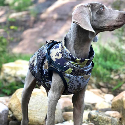 Winter Dog Jacket with Built-In Harness – Waterproof & Cozy