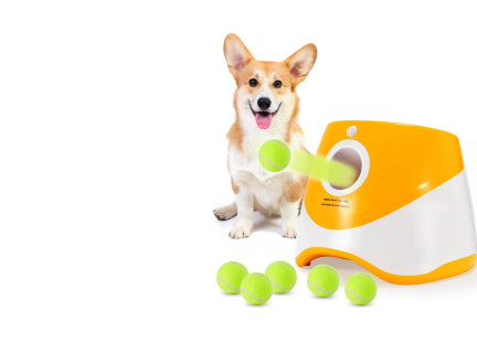 Pet Toy Barn