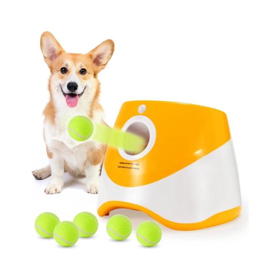Pet Toy Barn