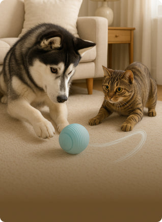 Pet Toy Barn