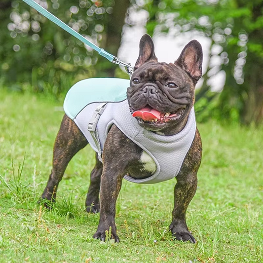 Summer Cooling Vest for Dogs and Cats – Quick-Dry, Reflective, Lightweight Comfort for Pets