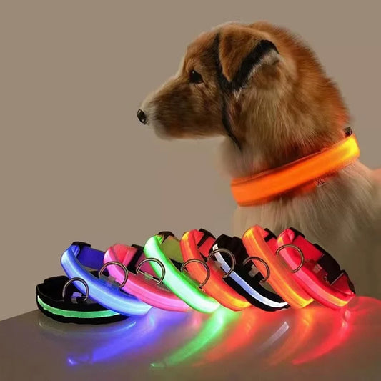 LED Reflective Dog Collar – Glowing Nylon Safety Accessory for Night Walks