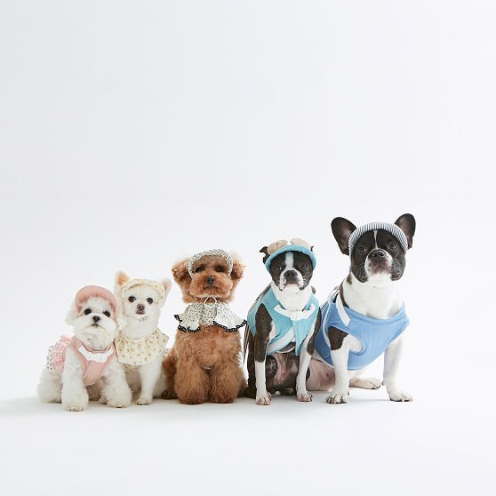 Pet Toy Barn