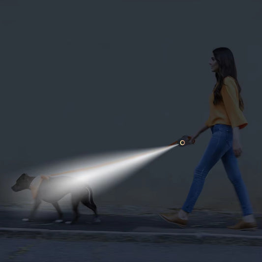 16FT Tangle-Free Dog Leash with LED
