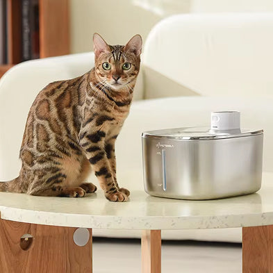 4L Wireless Water Fountain with Auto Sensor for Cats & Small Dogs