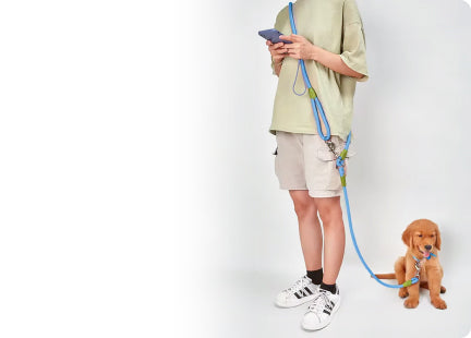 Pet Toy Barn
