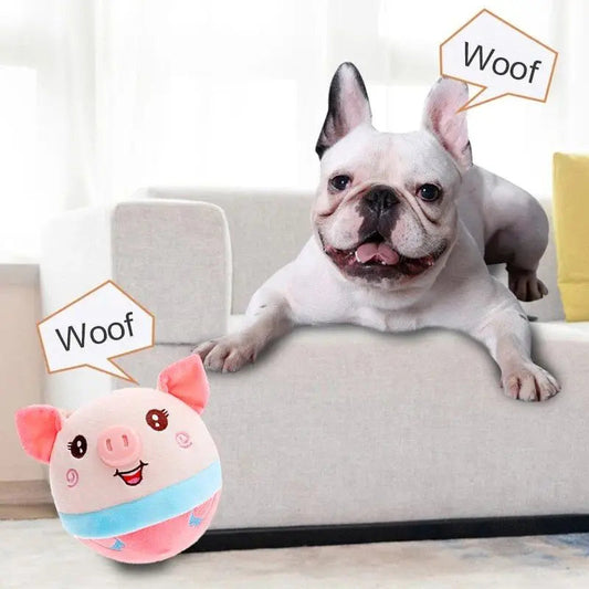 The Importance of Mental Stimulation Toys for Pets