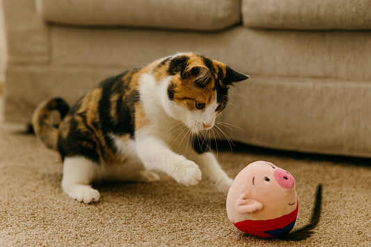 cat pawing at a spinning plush cat toy
