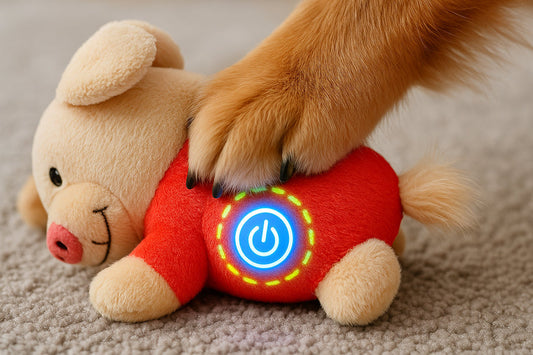 Dog playing with a plush in the living room
