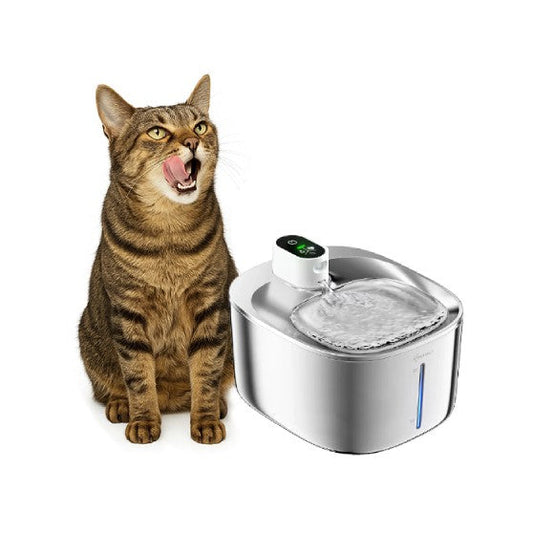 Best Smart Cat Toys and Gadgets for Happy, Healthy Cats
