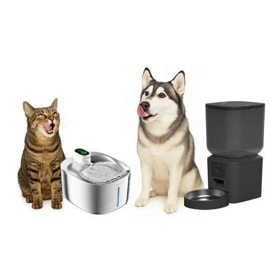 Pet Toy Barn