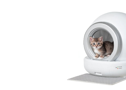 Pet Toy Barn