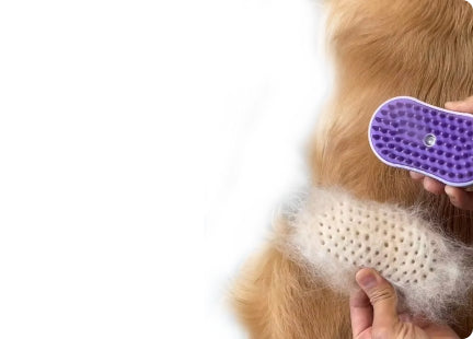 Pet Toy Barn