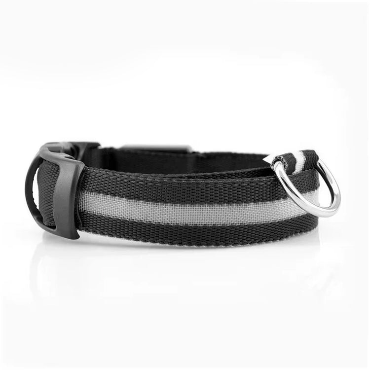 LED Reflective Dog Collar – Glowing Nylon Safety Accessory for Night Walks