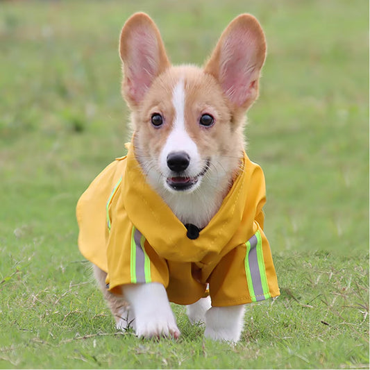 Waterproof Dog Raincoat Poncho – Reflective, Breathable, and Stylish for  All Sizes