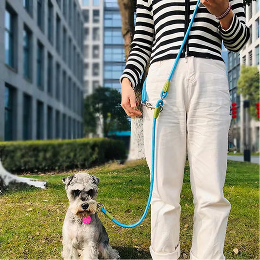 Reflective Nylon Dog Leash – Hands-Free Traction Rope for Running and Walking, Small to Large Dogs