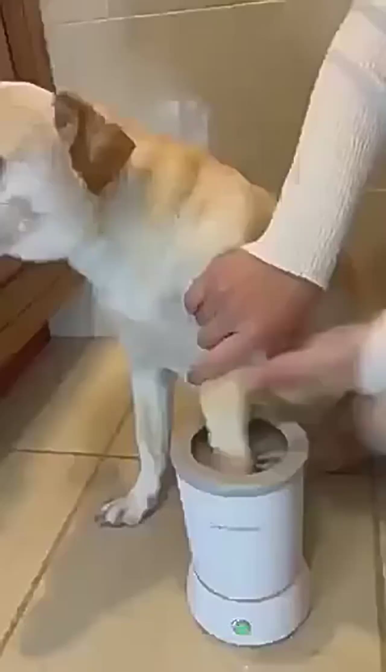 Portable Dog Paw Cleaner Cup – Mess-Free Paws On the Go