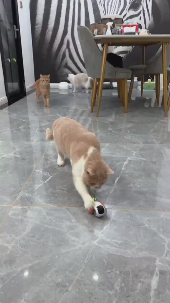 Smart Cat Toy Car – 2 Modes Automatic & Remote-Controlled Interactive Pet Trainer