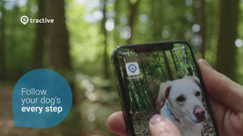 Dog GPS Tracker with Activity Monitoring – Fits Any Collar, Waterproof & Lightweight