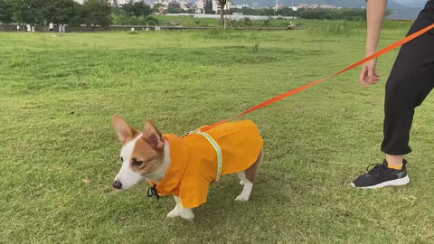 Waterproof Dog Raincoat Poncho – Reflective, Breathable, and Stylish for  All Sizes
