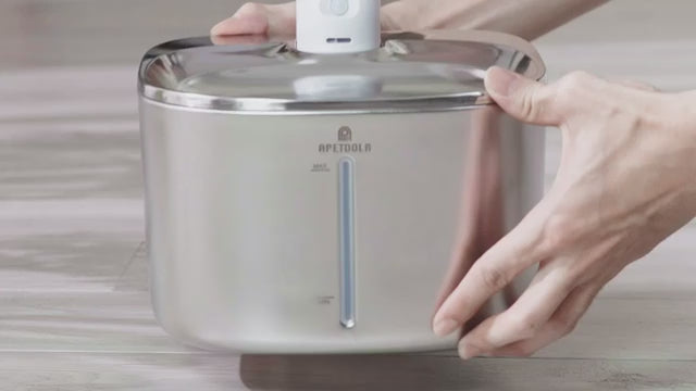 4L Wireless Water Fountain with Auto Sensor for Cats & Small Dogs